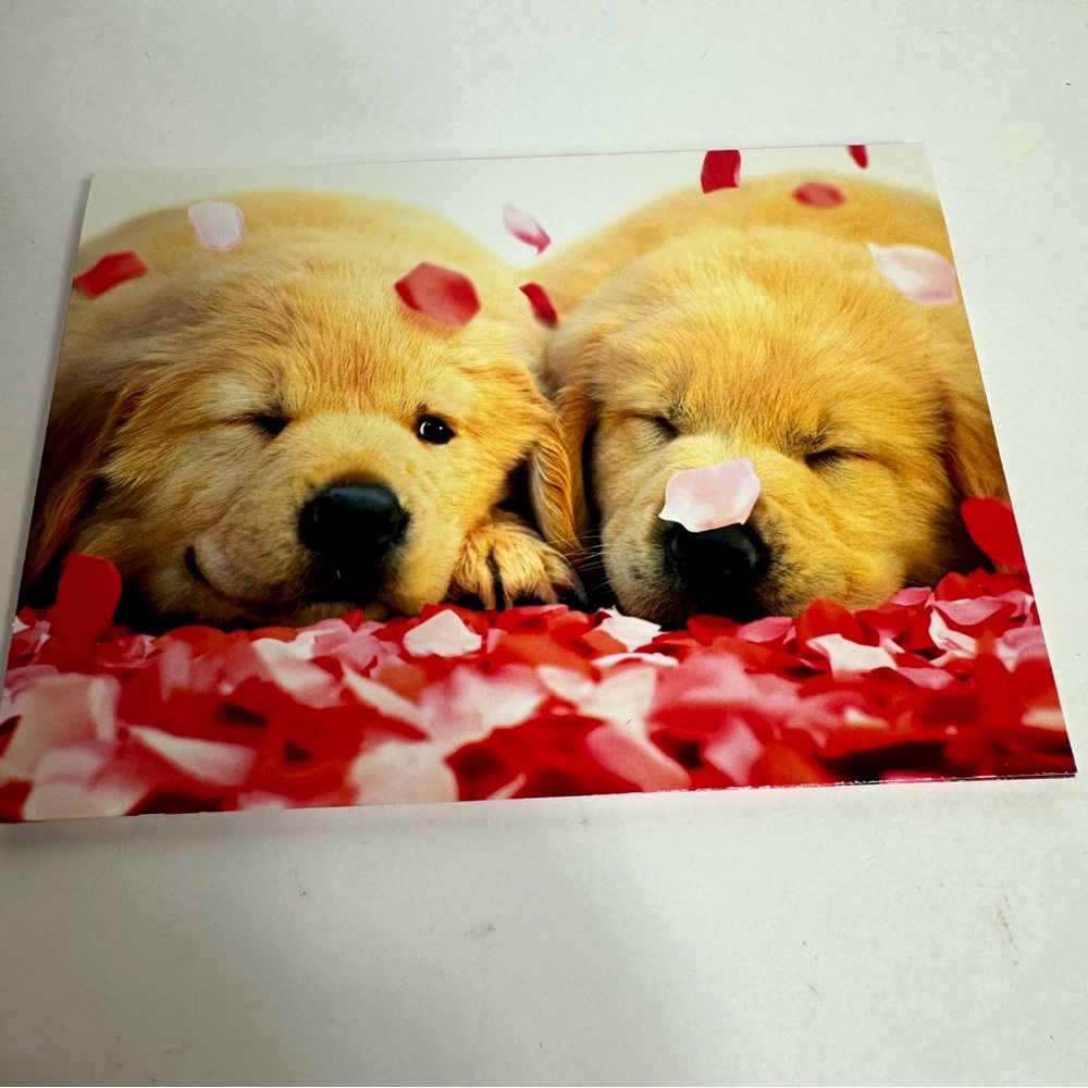 6 Avanti Greeting cards - puppy dogs confetti 
Holiday: Valentine’s Day